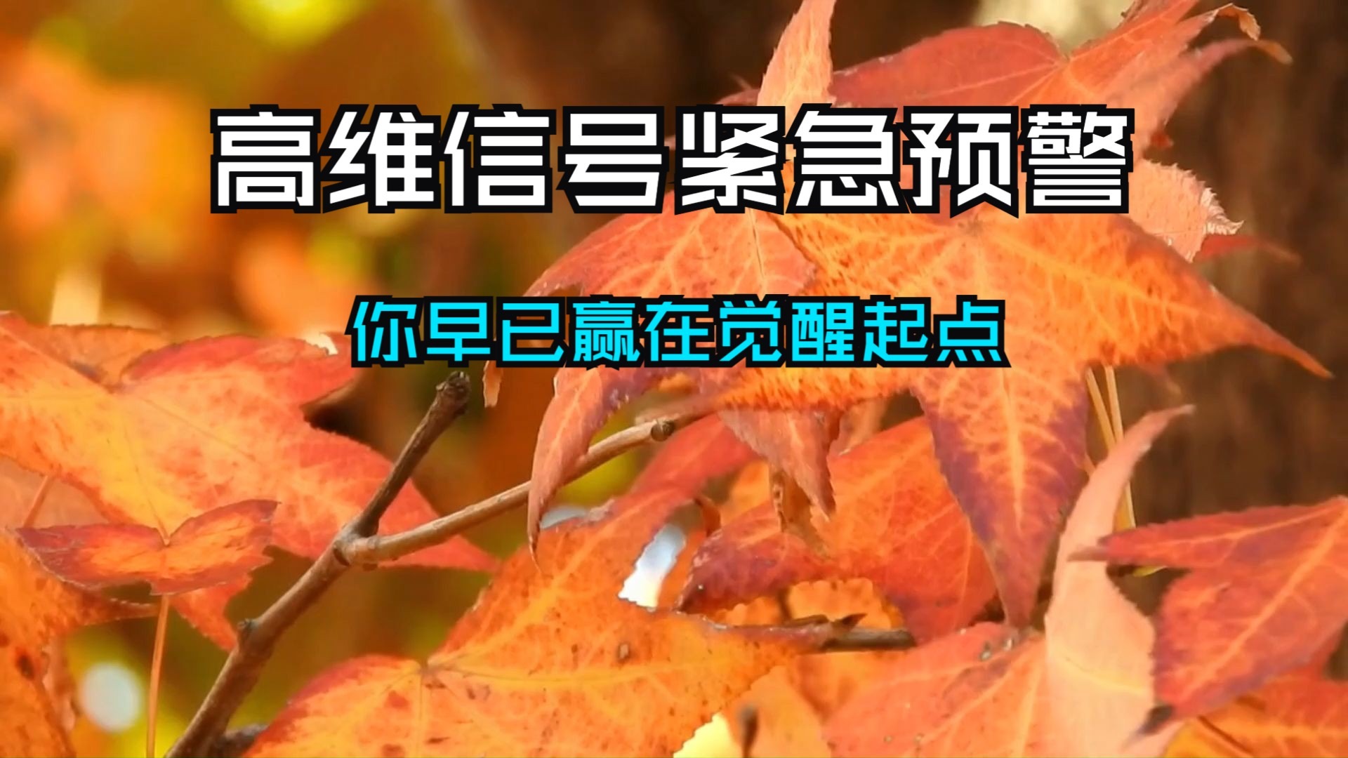 高维信号紧急预警！此条只为宇宙选中的你推送——你早已赢在觉醒起点，放松信任，想要的一切都在路上！