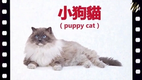 9b8b98c3a4ea25338560c1f0c97f1f3230da9df0.jpg@280w_158h_1c_100q.jpg
