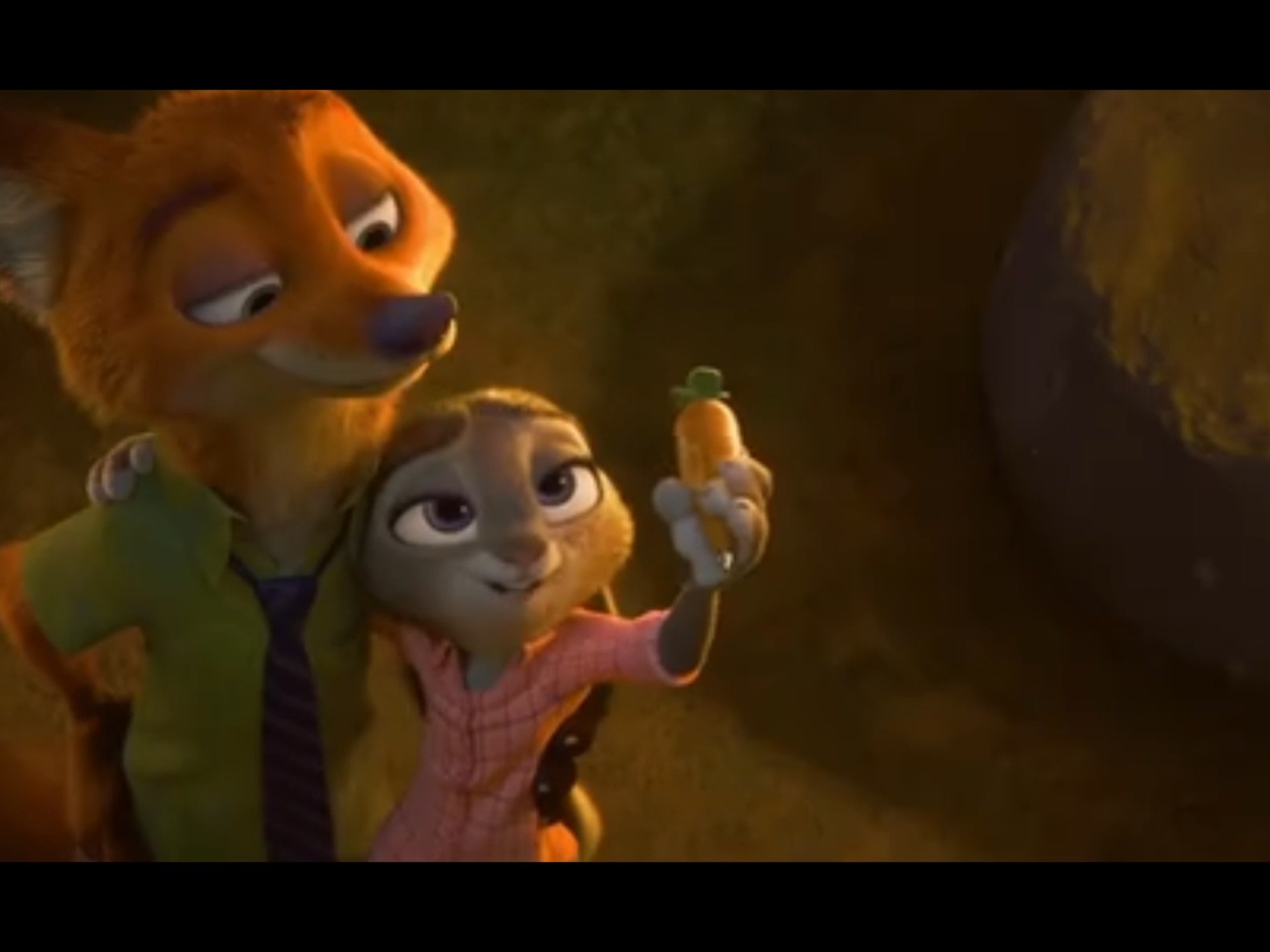 动物城最佳拍档❤️📏