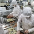 实拍韩国饼干工厂，自动化工艺大批量生产，这场面也太震撼了吧！
