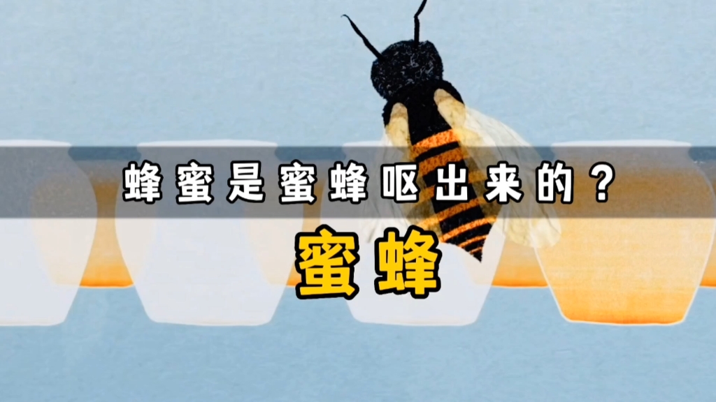 蜂蜜是蜜蜂呕出来的？你根本不知道，为了制造蜂蜜，蜜蜂有多努力！