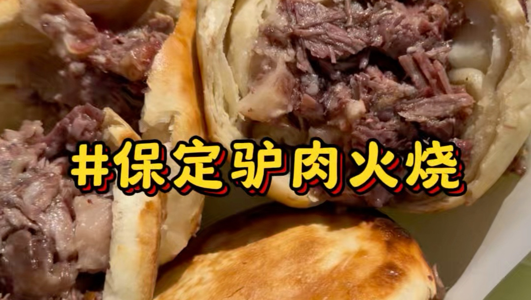 在河北保定吃25块一个的驴肉火烧，配上158一斤的热驴肉，火烧外皮烤得咔嚓酥脆，肉香混着汁水一口下去太满足了#保定驴肉火烧 #人间烟火气 #驴肉火烧#保定美食