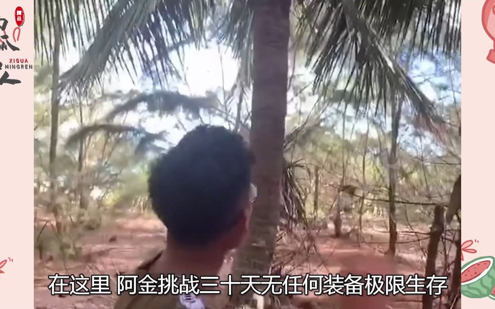 阿金:中国版贝爷,极限荒岛生存爆火,是剧本还是真探险?