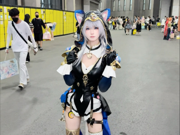 Did anyone see this cat yesterday?