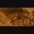 【《红高粱》（1987年）】天为被地为席，这一段电影中的野战片段，太过瘾了！