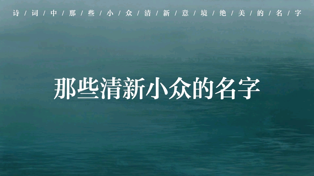 【诗词起名】草满池塘水满陂，山衔落日浸寒漪 | 那些清新小众的古风名字究竟有多美