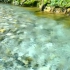 【催眠向】【自然音】涓涓的小溪流水声1 Hour Nature Sounds - Babbling Brook Soun