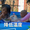 《浆果儿》泳池派对