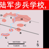 3年高考，95年模拟！美国陆军步兵学校战术真题