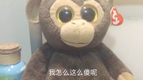 9bf87facd807916341f4372aa2ed51a18ae7096f.jpg@280w_158h_1c_100q.jpg