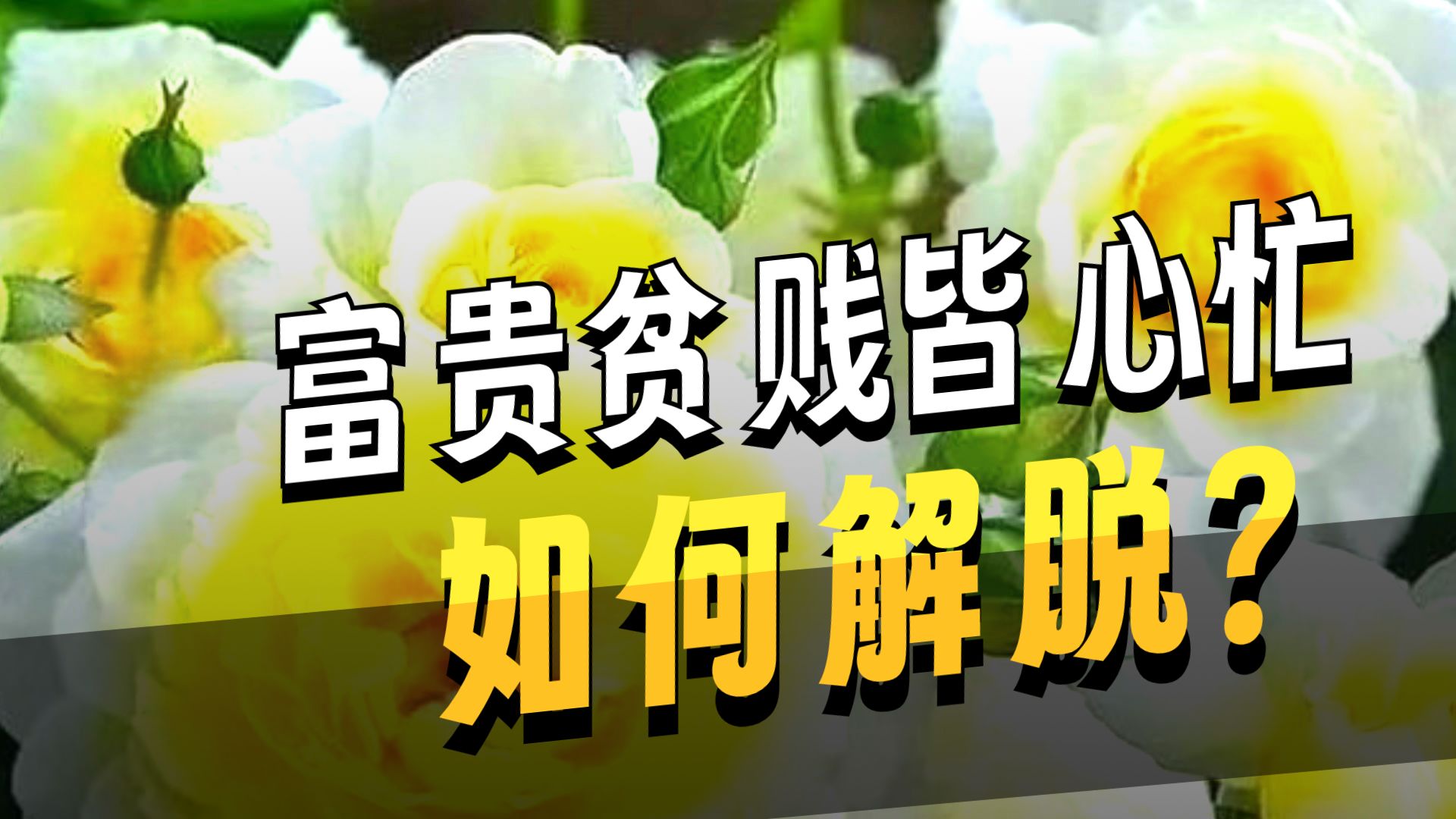 体佛法师开示：心忙