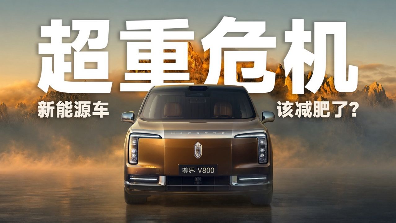 说满载接近四吨的尊界V800压坏路面，合理吗？