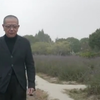 画坛大师陈丹青说：开眼界不一定是好事