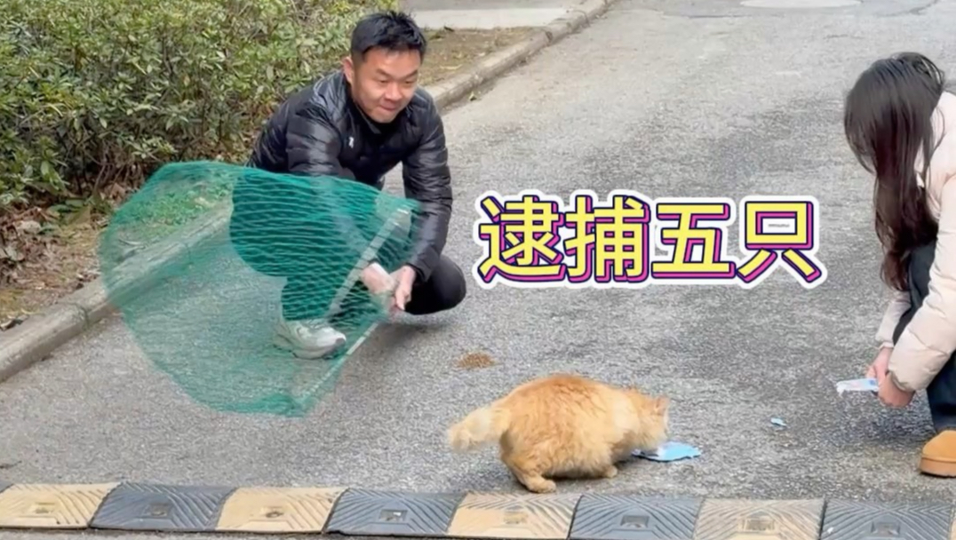 今天抓了五只！！