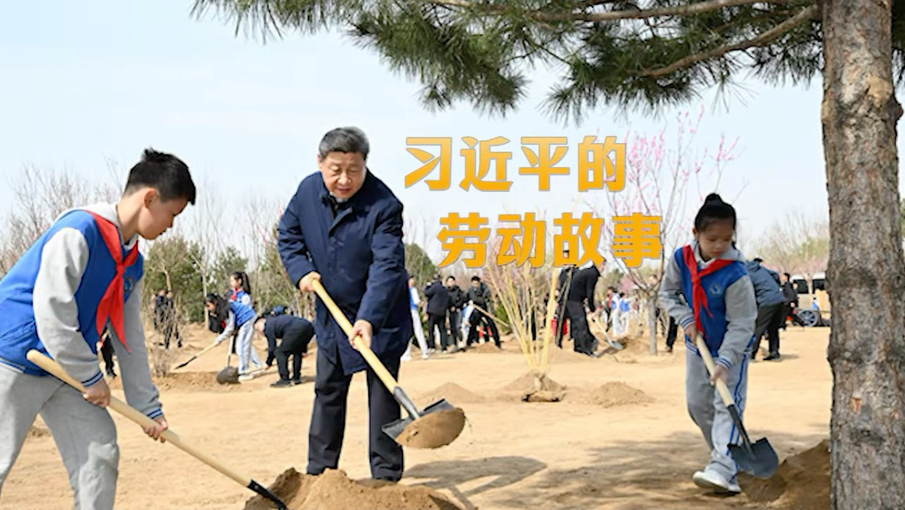 追光的你丨习近平的劳动故事