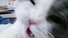9c4831f83d95a1792c60e6bfeec772bd0410247c.jpg@280w_158h_1c_100q.jpg
