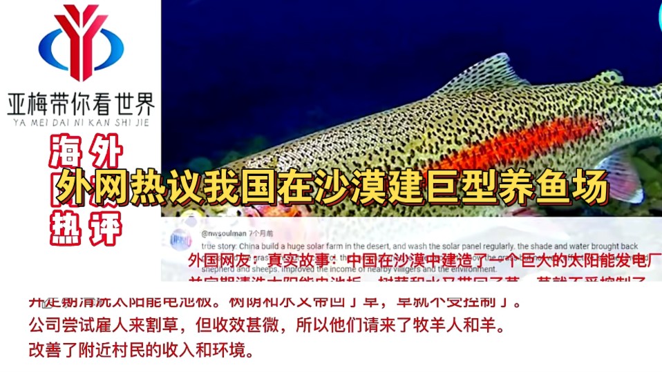 外网热议我国在沙漠建巨型养鱼场，国外网友：这是中国令人钦佩的技术，值得其他国家效仿！