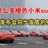 小米汽车工厂这么多橙色小米su7，是准备发布会同步发售的嘛？