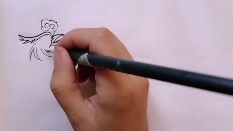 凤凰的画法过程清晰易学噢