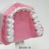 正确的刷牙方法（巴氏刷牙法）_baijiejiankang.com分享
