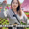 五一周边去哪里？大浦粉色火山浪漫延续，千万朵月季玫瑰花海限时绽放，别忘了还有超美的火山蓝色烟花秀哦