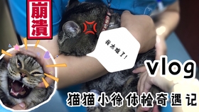 9c81f9f2a015a5352c9591c3a192ec9062713054.jpg@280w_158h_1c_100q.jpg