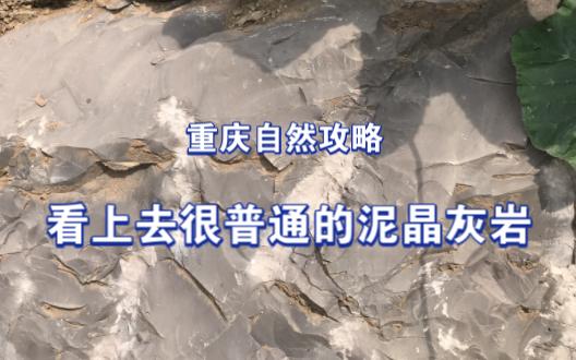 重庆自然攻略，看上去很普通的泥晶灰岩