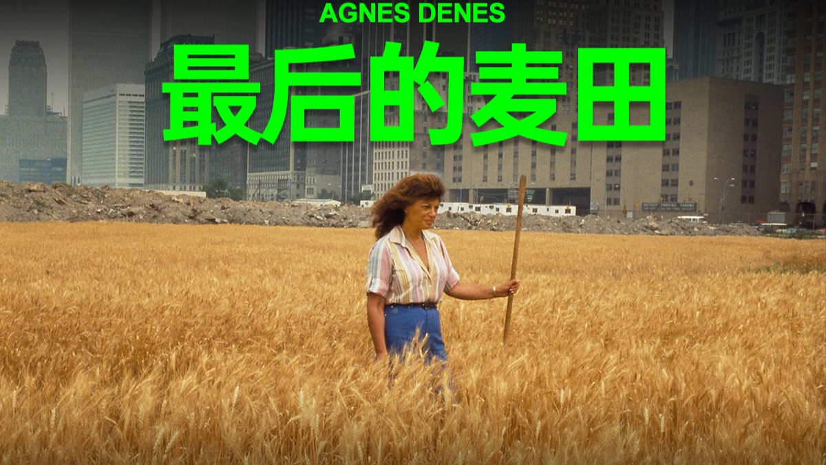 她在纽约最昂贵的地段种下了“最后的麦田”