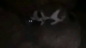 9ca25df3c3ed32131af5cf2b70ab287bb3a0f7c1.jpg@280w_158h_1c_100q.jpg