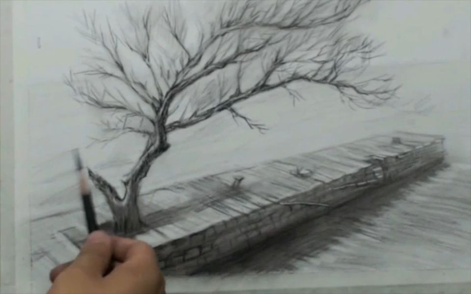 素描风景教程:长提一树