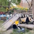 Vlog#04 上海野生动物园一日游15/12/2020