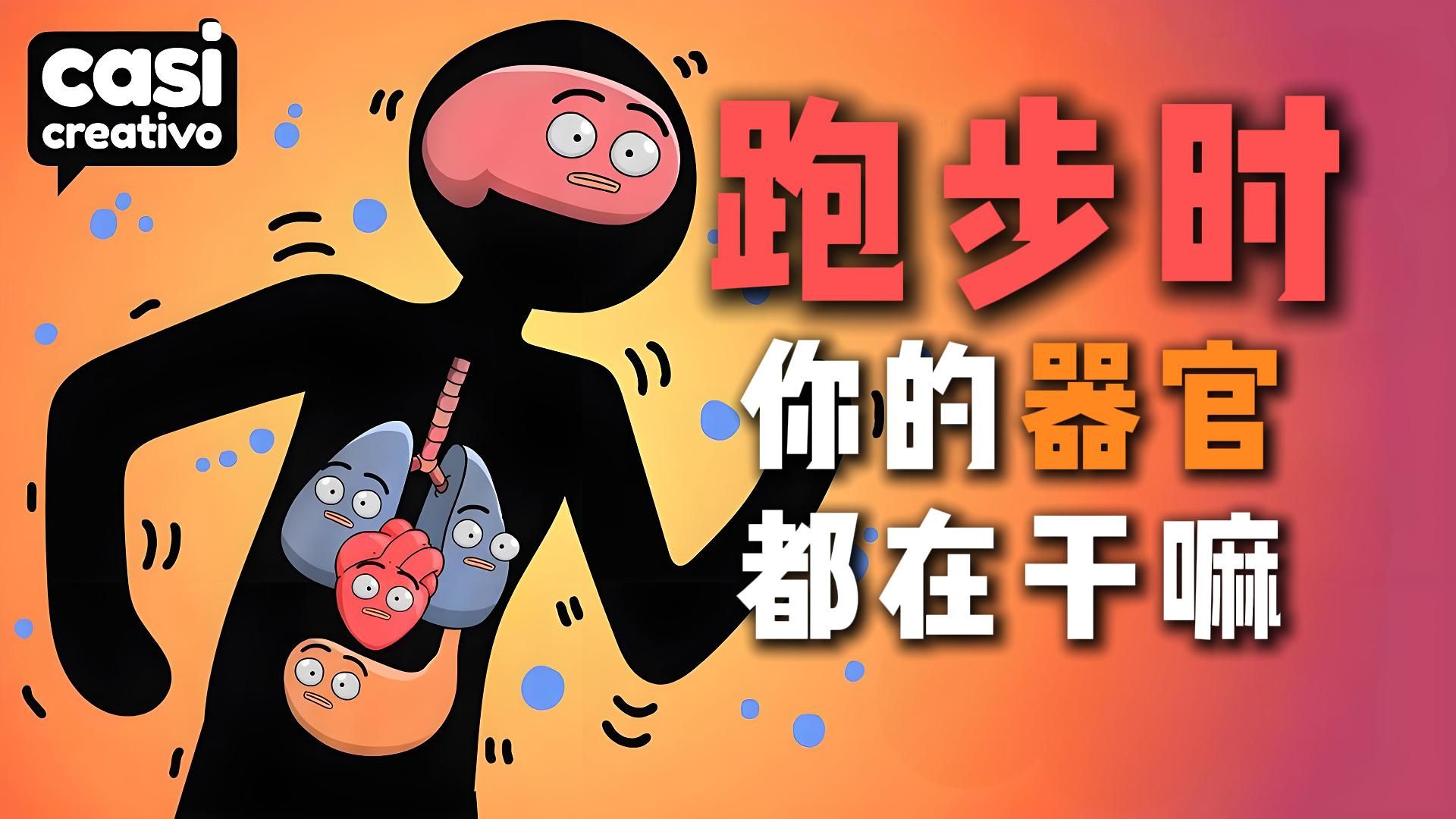 跑步时，你的器官都在干嘛？