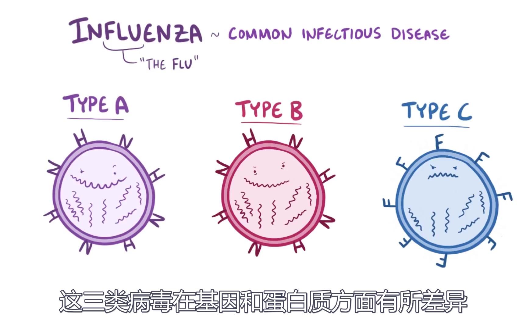 流行感冒病毒全解析,甲流、乙流和丙流都有什么不同呢?哔哩哔哩bilibili