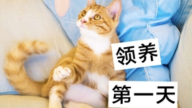 9d0040e050b1c4e1b926364d7fac55ce98d8c3ee.jpg@280w_158h_1c_100q.jpg