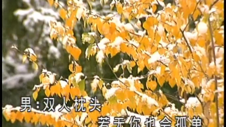 黃思婷 _ 傅振輝 - 秋雨彼一暝 [後期剪接 金碟豹DVD版](720P_HD)