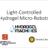 Light-Controlled Hydrogel Microrobots