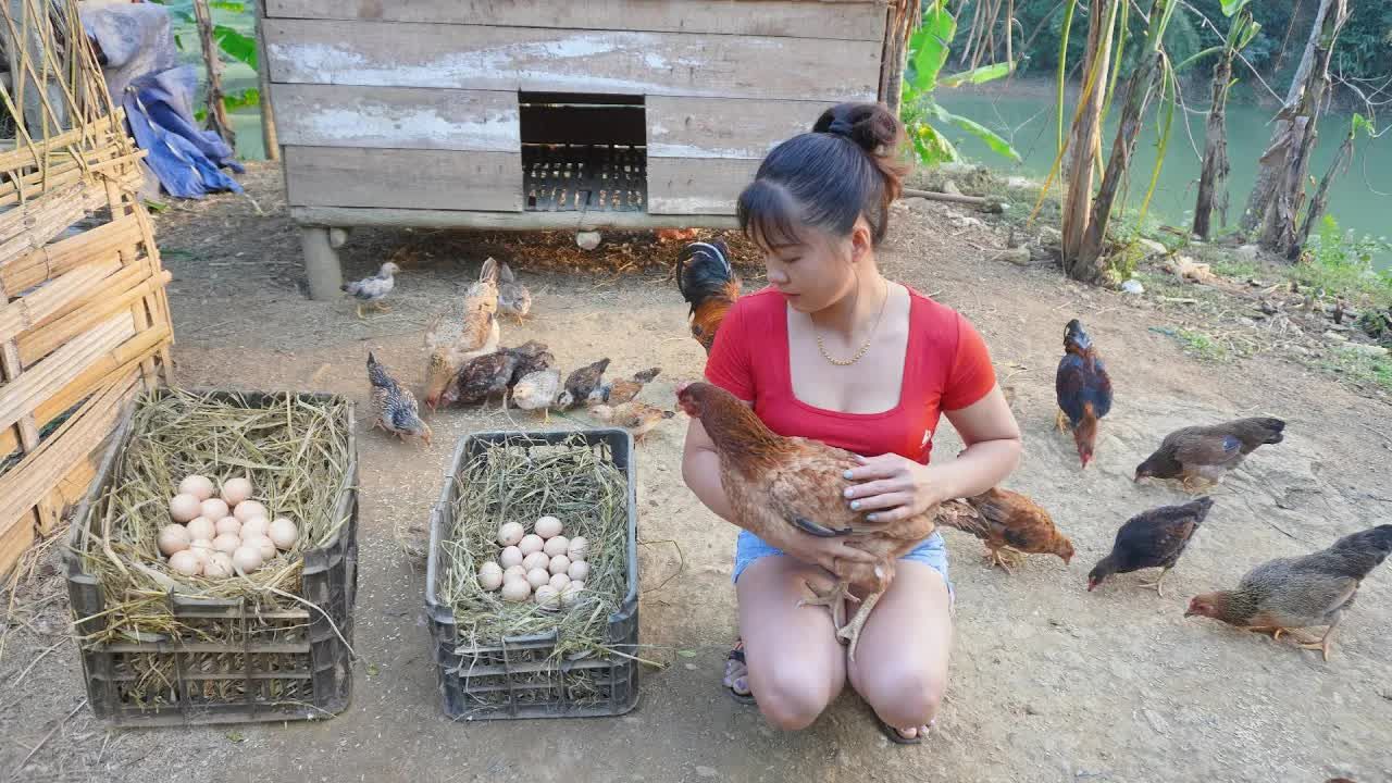 生活在山里就得什么馈赠 这么女生也得学会孵化小鸡