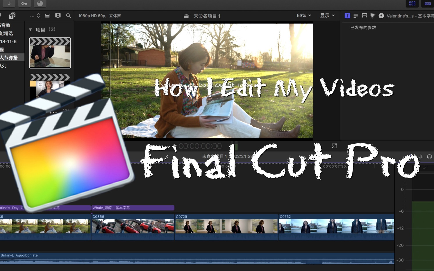 鲸鲸up主必备我是如何剪视频vlog的finalcutpro零基础教程fcpx