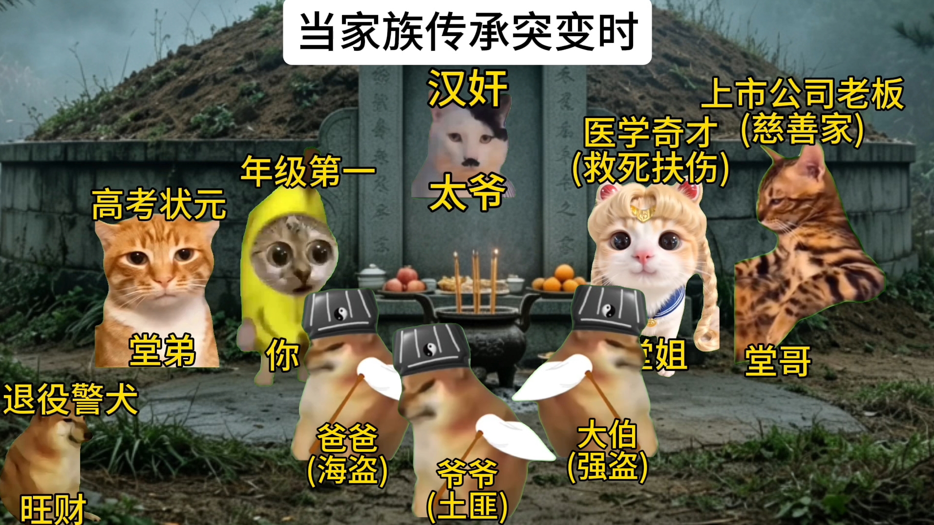 当家族传承突变时#猫meme #搞笑 #抽象
