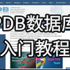 入门PDB蛋白质数据库，一个视频就够了
