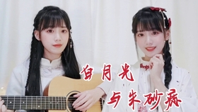吉他曲谱白月光_白月光与朱砂痣曲谱(3)