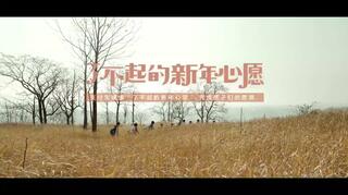 【大片金服蜜蜂蚂蚁】了不起的新年公益小心愿教学策略图片