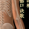 一分钟认识人体206块全身骨骼解剖特点