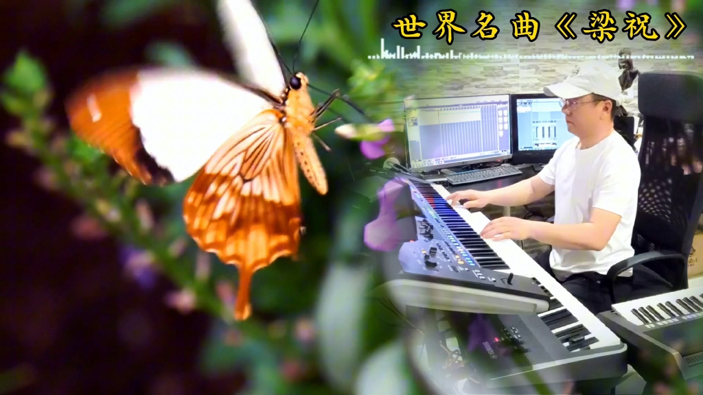 【梁祝】世界名曲演奏 | 音乐盛宴