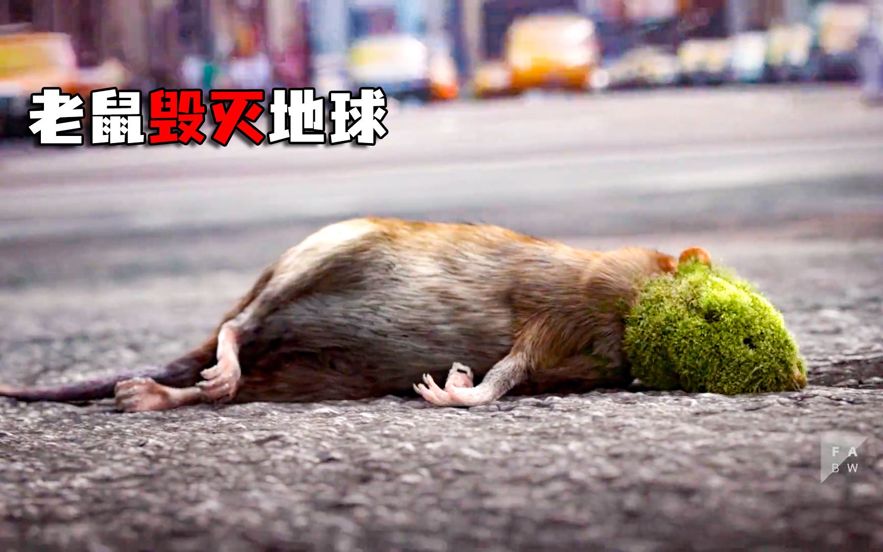一只老鼠竟然将地球给腐化了《吞噬》