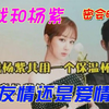 肖战和杨紫的恋情终结？到底发生了什么事