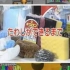 【日本科学技术】厨房洗净用品的制作流程