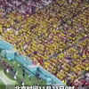 世界杯首战开赛，厄瓜多尔球迷高呼“我们要啤酒