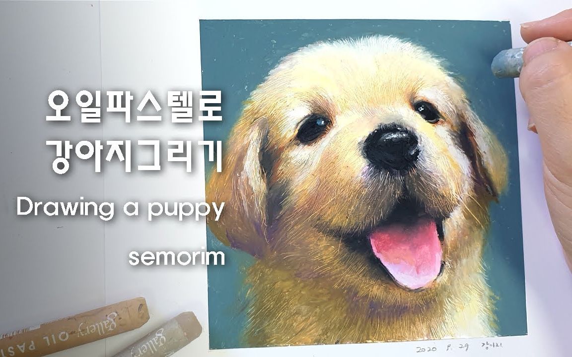 油画棒油画棒画一只金毛幼犬