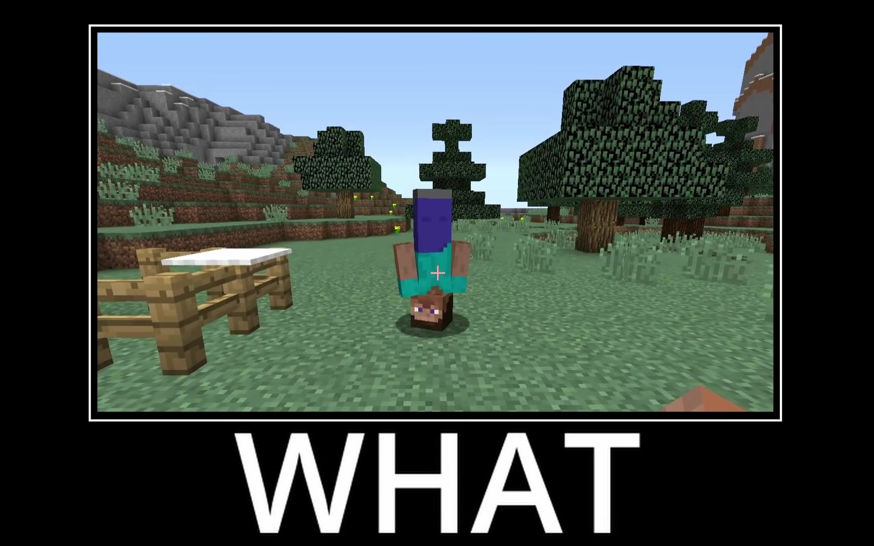 【更新到 #∞+12 】WAIT WHAT(Minecraft)  搬运合集（Minecraft in Ohio 💀 出处）